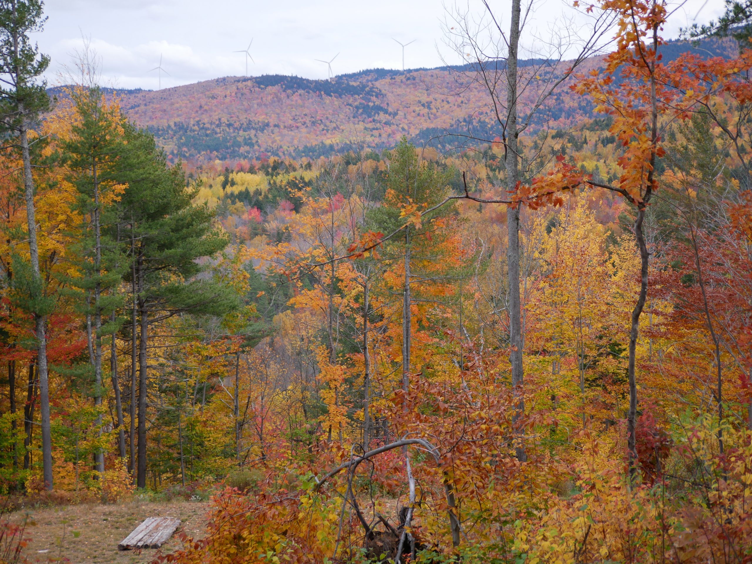 Spruce Mountain in Fall, Oxford County, Maine